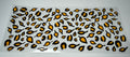 #119- CHEETAH PRINT