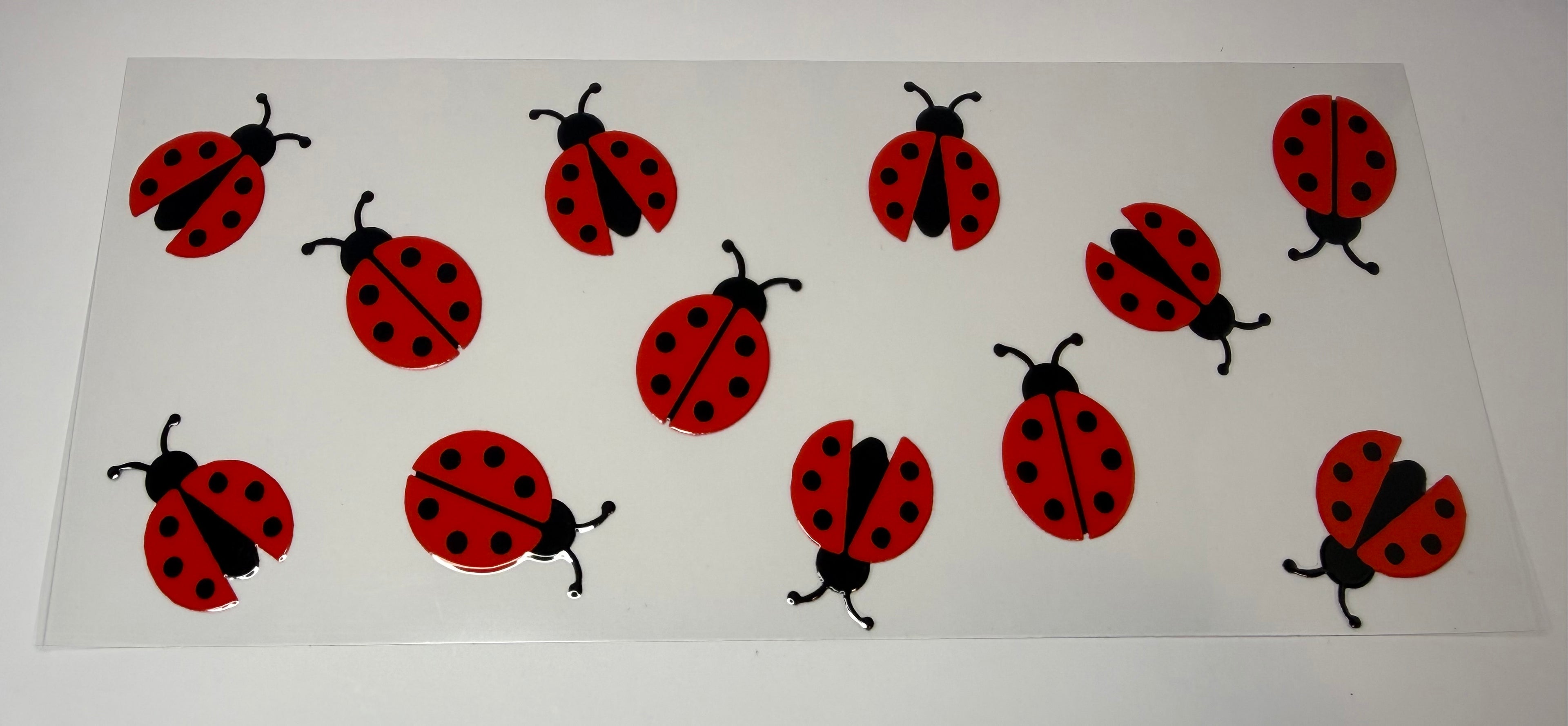 #162- LADY BUG