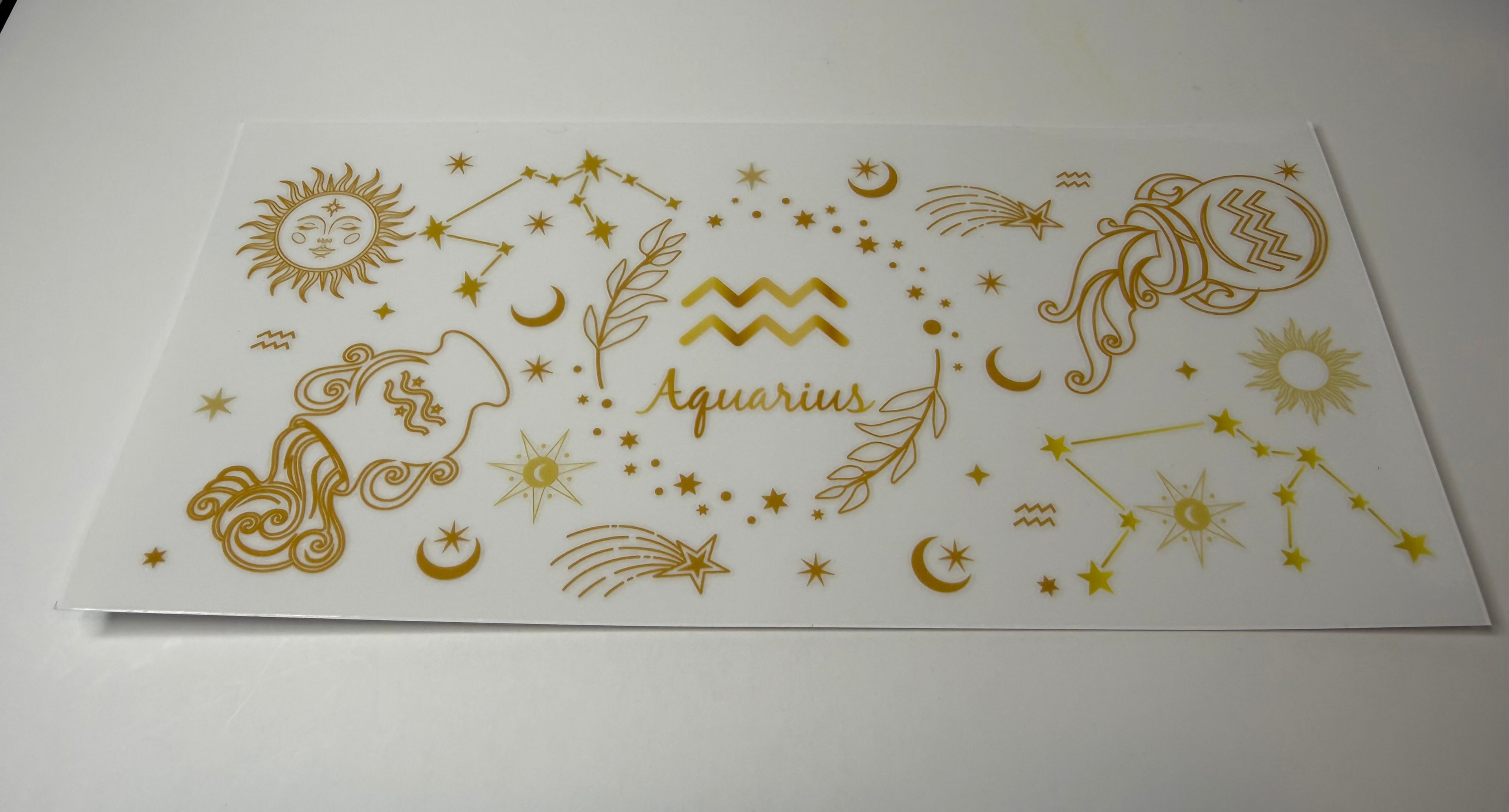 #359- AQUARIUS ZODIAC