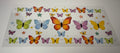 #48- BUTTERFLIES